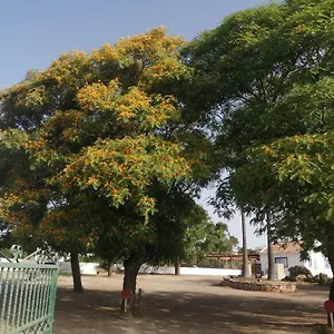  Сasa de vacaciones Casa De Medronhal